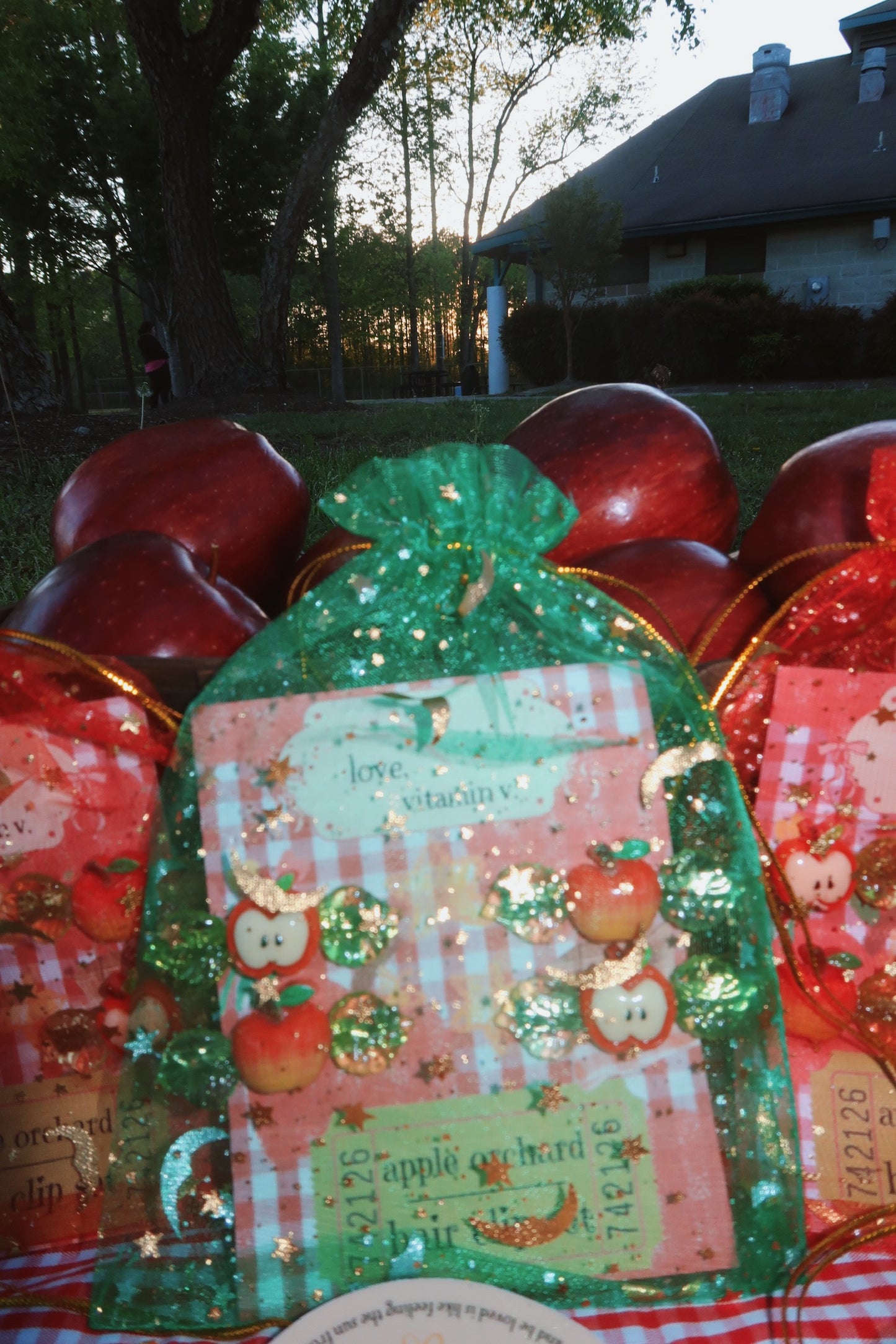 apple orchard hair clip set