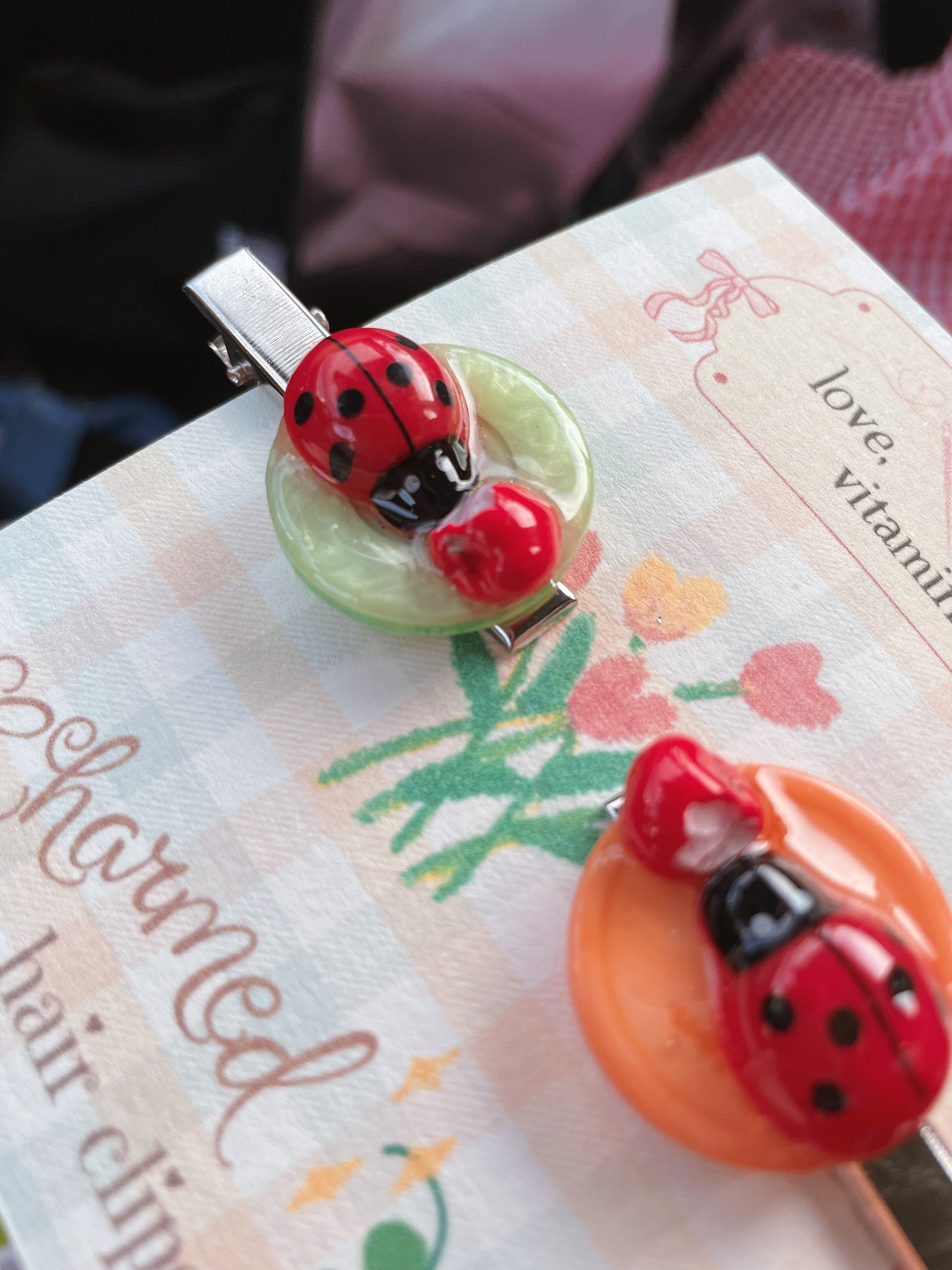 a snack for a ladybug (hair clip set)