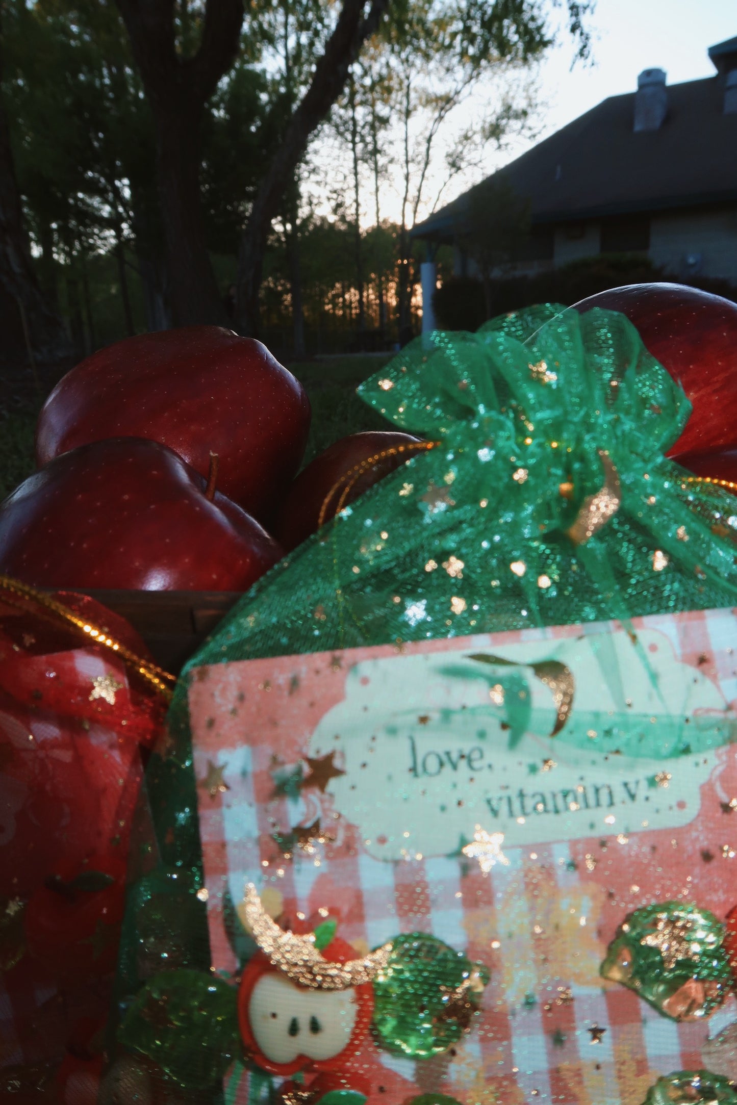 apple orchard hair clip set