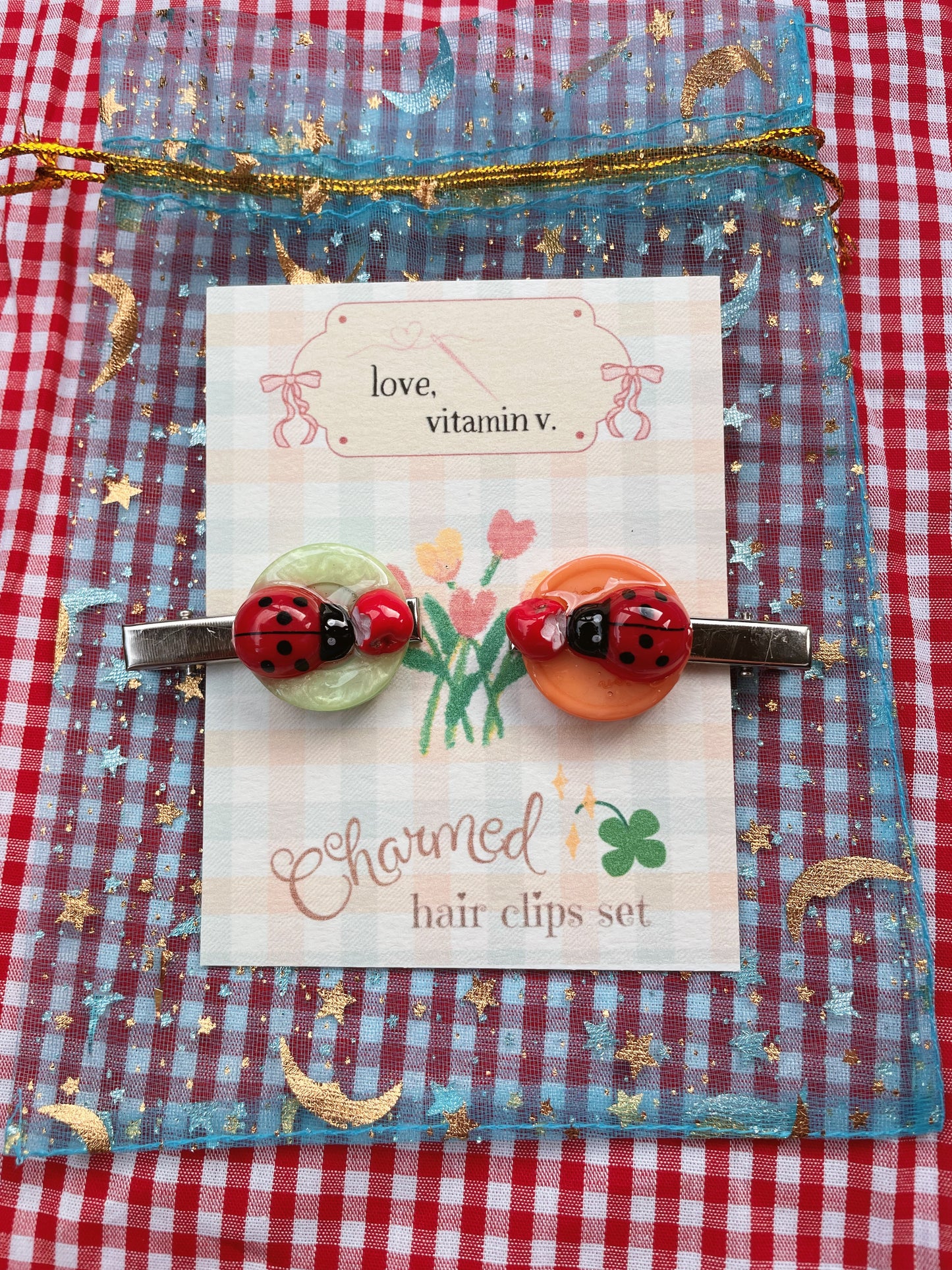 a snack for a ladybug (hair clip set)