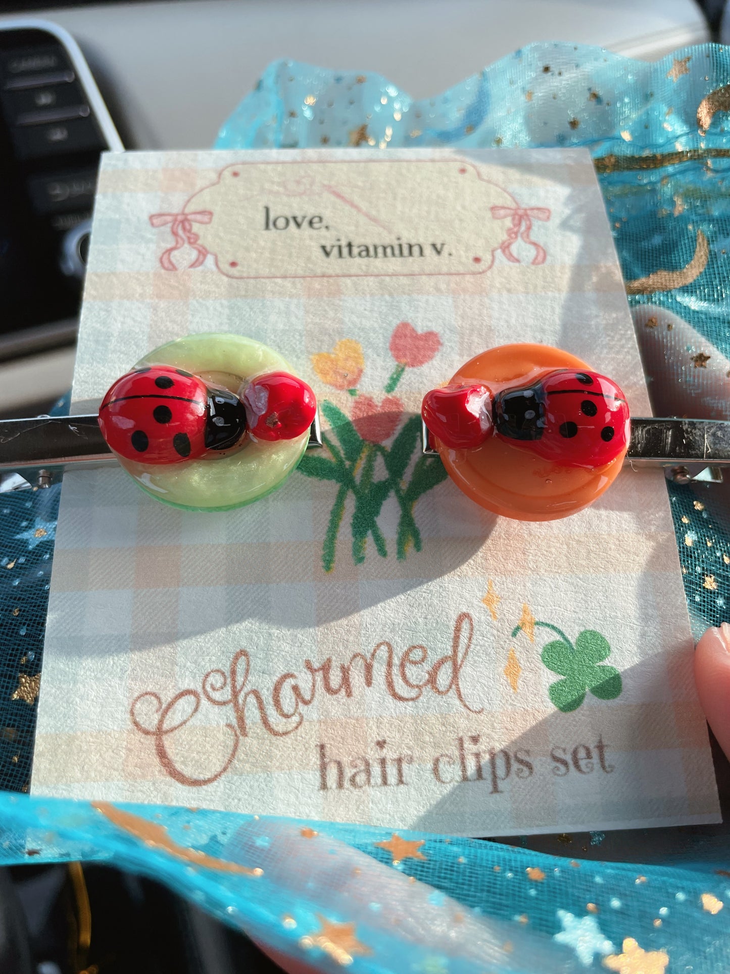 a snack for a ladybug (hair clip set)