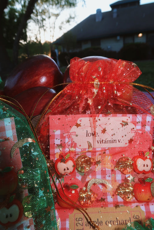 apple orchard hair clip set